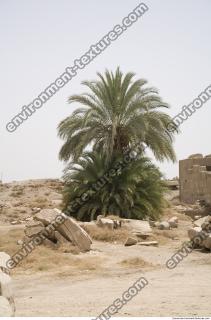 Photo Reference of Karnak Temple 0118